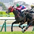 【中山６Ｒ・３歳１勝クラス】メイショウハチコウが内から差し切りＶ　ディー騎手はこの日２勝目