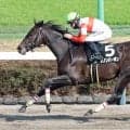 【中山１０Ｒ・伏竜Ｓ】「本当にいい馬です」西村淳也騎手も絶賛！　砂の素質馬ダノンバーボンが堂々の無傷３連勝　