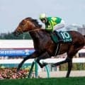 【高松宮記念予想】高齢馬には鬼門とも言える一戦！ 昨年の覇者に立ちはだかる消去法データとは