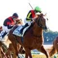 【注目馬動向】グランアレグリアの初子グランマエストロは４月２５日の東京競馬場の未勝利戦へ