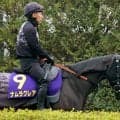 【高松宮記念】単勝１０倍以下は３頭の三つどもえ　ナムラクレアが単勝１番人気も３連単、馬単で信頼を集める馬は…