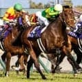 2番人気が好成績の高松宮記念 顕著な傾向が出ている馬体重にも注目