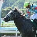 高松宮記念は前＆内有利 伏兵からのオススメは