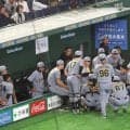 阪神　２年連続の開幕カード勝ち越しへ　伏見が２試合連続のスタメンマスク　巨人の先発はドラフト３位の変則左腕