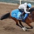 日曜中山競馬場の注目激走馬…中山１１Ｒマーチステークス・Ｇ３