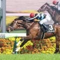 【中山９Ｒ・ミモザ賞】ベンヴェヌータがデビュー２連勝でオープン入り　石橋脩騎手「新馬戦より動けるようになっていた」