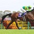 【高松宮記念】サトノレーヴがレースレコードで史上２頭目の連覇　ルメール騎手はフェブラリーＳに続くＧ１連勝