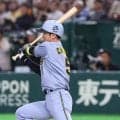 【阪神】開幕スタメン野手８人全員に「Ｈ」ランプ　小幡竜平はホッとした表情　ホーム開幕にはずみ