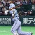 【阪神】さすがの主将・坂本誠志郎「やるか、やられるか」気迫あふれる同点打、計３打点に激走も