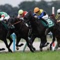 【ダービー卿CT登録馬】京都金杯V、ブエナオンダなど21頭