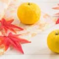 「ゆず湯にこんな効果が？」意外と知らないゆず湯の実力とは