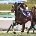 武豊騎手が制した大阪杯 キタサンブラック＆ジャックドールの2勝を回想