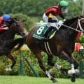 【先週のJRA抹消馬】24年小倉2歳S覇者エイシンワンド、2億円馬ユティタムなど