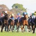 【大阪杯・超ブル診断ステップレース編】レコード決着のジャパンＣ　２５年ダービー馬を「Ｇ」評価も遜色つけがたいライバルとは
