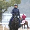 【大阪杯】５度目のダービー馬対決　クロワデュノールが復権へ「もう１回、一番強いところを見せないと」