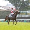 【大阪杯】日本ダービー馬が初の戴冠なるか ダノンデサイル＆クロワデュノールが参戦