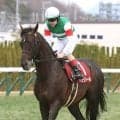 【注目馬動向】ヘデントールは連覇を目指して天皇賞・春へ