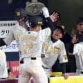 【藤田平氏の眼】勝ち方を知っている阪神　ＤｅＮＡと「野球の質」が違う　６安打で適時打も初回の佐藤輝のみでも４得点