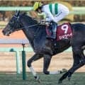 大阪杯のノーザンF生産馬の好走パターンとは ショウヘイなど3頭に注目