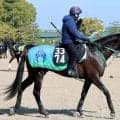 【注目馬動向】伏竜Ｓで無傷３連勝を飾った砂の“怪物”ダノンバーボンはケンタッキーダービーへ！
