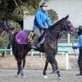 【注目馬動向】２５年天皇賞・秋勝ち馬マスカレードボールの半弟アナザーフェイス　次走は４月２６日東京競馬の未勝利戦へ
