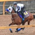 「宝塚記念に近づける」メイショウタバル圧倒Vの再現仕上げ　３戦３勝の仁川も追い風