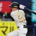 阪神・福島　プロ初打席粘った１３球　３月３０日に支配下入り　凡退も藤川監督「いやぁ、使いたくなるね」