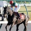 【ダービー卿ＣＴ】重賞初制覇を狙うファーヴェントは４枠８番　京都金杯勝ち馬のブエナオンダは３枠５番　枠順確定