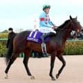 【注目馬動向】ホープフルＳ２着のフォルテアンジェロ　皐月賞は荻野極騎手と新コンビ