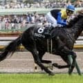【美浦S】半兄に重賞勝ち馬3頭 クルミナーレが連勝でオープン入りなるか