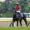 【阪神牝馬S想定馬・騎手】アスコリピチェーノ、エンブロイダリーなど10頭