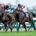 【皐月賞想定馬・騎手】ロブチェン、パントルナイーフなど18頭