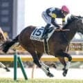 【チャーチルダウンズC予想】キャリアの浅い3歳馬は前走の経験が重要！  一気の相手強化で評価を下げたい人気馬
