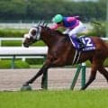 武豊騎手 今週の騎乗馬…大阪杯はメイショウタバルとのコンビ