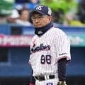 【ヤクルト】“池山チルドレン”若手躍動　伊藤琉偉同点弾、田中陽翔３安打３打点、鈴木叶２安打