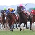 ナムラクレアが引退…高松宮記念3年連続2着など