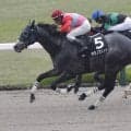 【ポラリスS】キタノズエッジがオープン2勝目…武豊ヤマニンウルスは12着