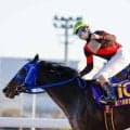 【川崎記念枠順】1着賞金1億円 地方年度代表馬ディクテオンは7枠8番、転入初戦のドゥラエレーデは6枠7番