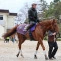 【大阪杯】馬トク外厩情報…気性面が成長し安定感アップ　万全仕上げで臨む注目馬
