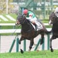 大阪杯当日の阪神競馬場の芝コースは先行有利　道悪実績もあるメイショウタバル、セイウンハーデスに向きそう