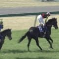 【大阪杯】1番人気クロワデュノールが25年ダービー馬の力見せつけ勝利！ 先行メイショウタバルは粘るも最後に力つく
