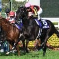 【大阪杯結果】ダービー馬クロワデュノールが差し切りGI・3勝目！ 人気上位3頭で決着