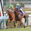 【皐月賞】登録２１頭が発表　最優秀２歳牡馬のカヴァレリッツォが筆頭もまれに見る混戦模様