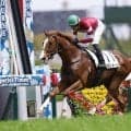 【阪神4R】1億6000万円の良血馬・カモンメーンが初勝利