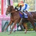 牝馬三冠第一弾・桜花賞など3重賞/今週の競馬界の見どころ