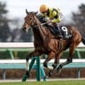 【皐月賞出走馬決定順】フルゲート18頭に対して21頭登録 サノノグレーターなど3頭が除外対象