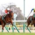 【桜花賞】クイーンＣから直行“必勝ローテ”で臨むドリームコアは充実一途　母ノームコアとの母娘Ｇ１制覇目指せる出来