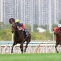 単勝１・０倍の圧倒的人気に応えカーインライジングが１９連勝　香港競馬の連勝記録を更新　２番人気は７０倍