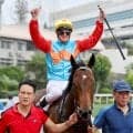 「本当に馬？」「バイク」香港最強馬の勝ちっぷりにネット驚嘆　香港スプリントＣを馬なりで楽勝し１９連勝のカーインライジング