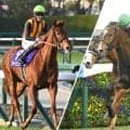 群雄割拠の3歳戦線 クラシック＆ダート三冠の勢力図は
